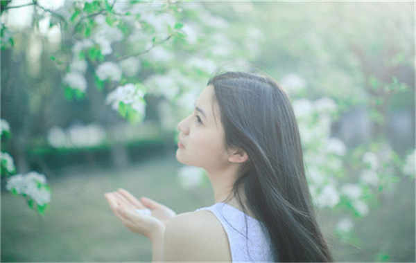 乾县验血查男女几周可以验(验血查男女结果图)